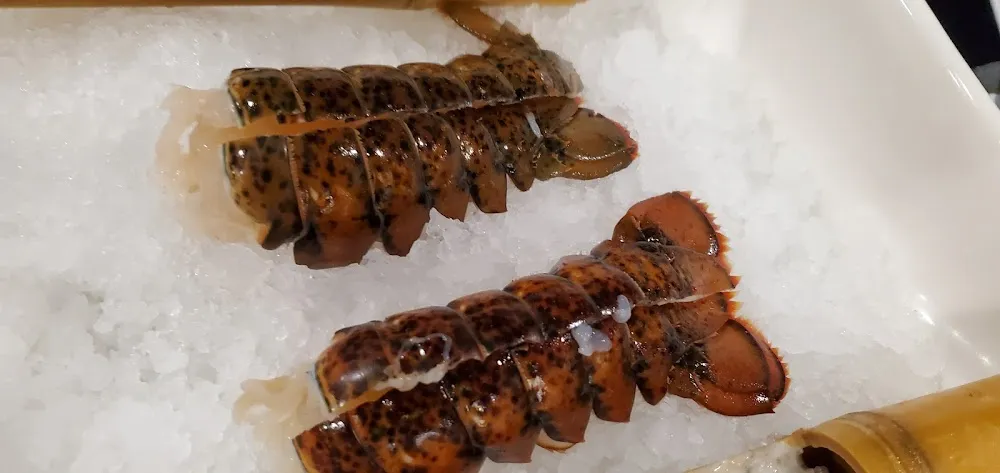 Lobster